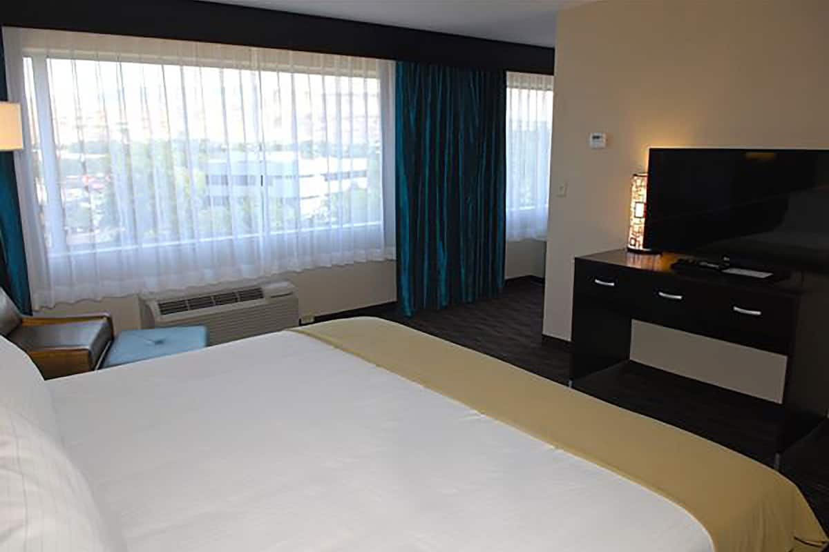 Suite, 1 King Bed