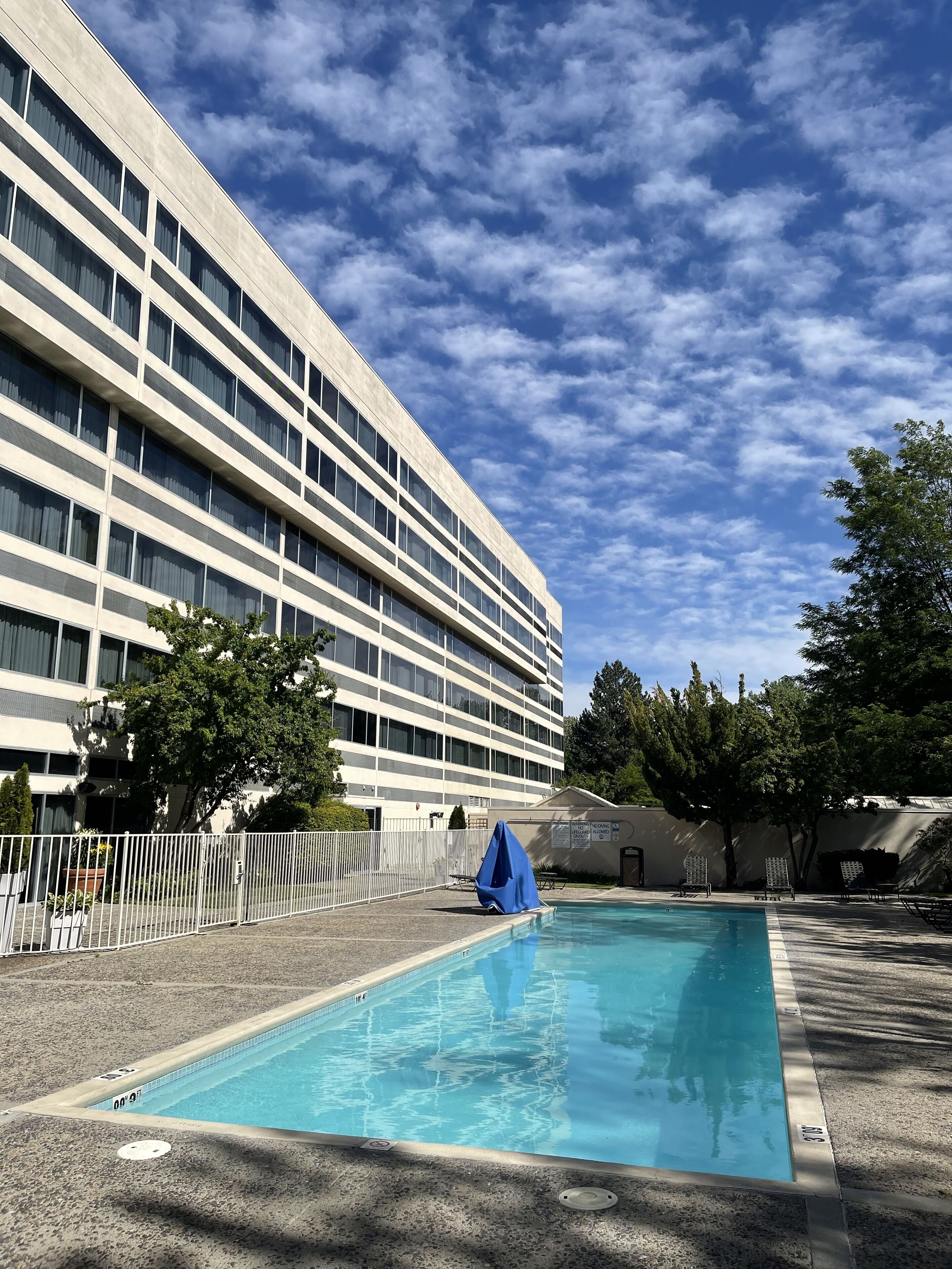 outdoor pool, pool umbrellas, pool loungers