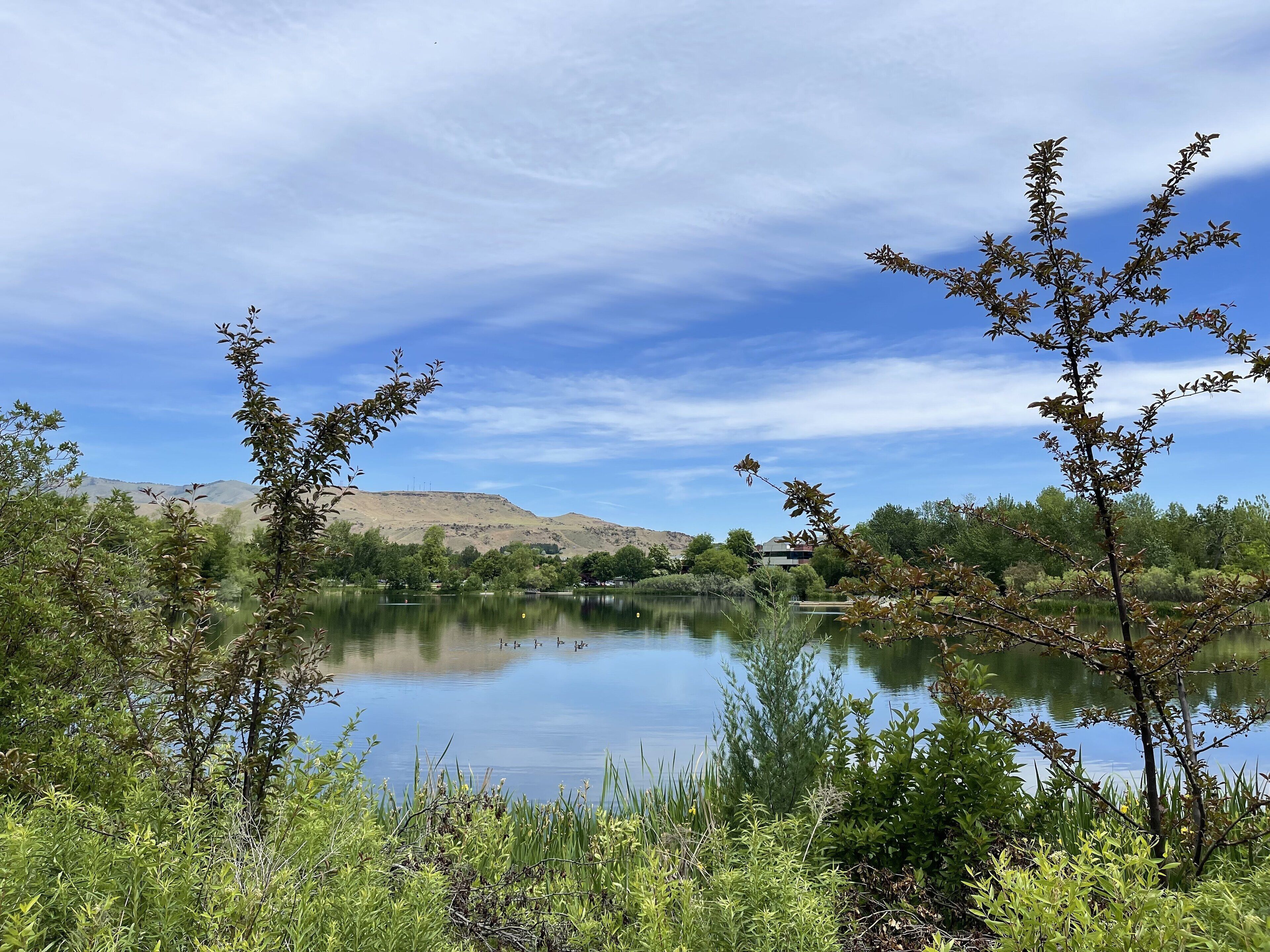Un lago sereno rodeado de vegetación y colinas al fondo.
