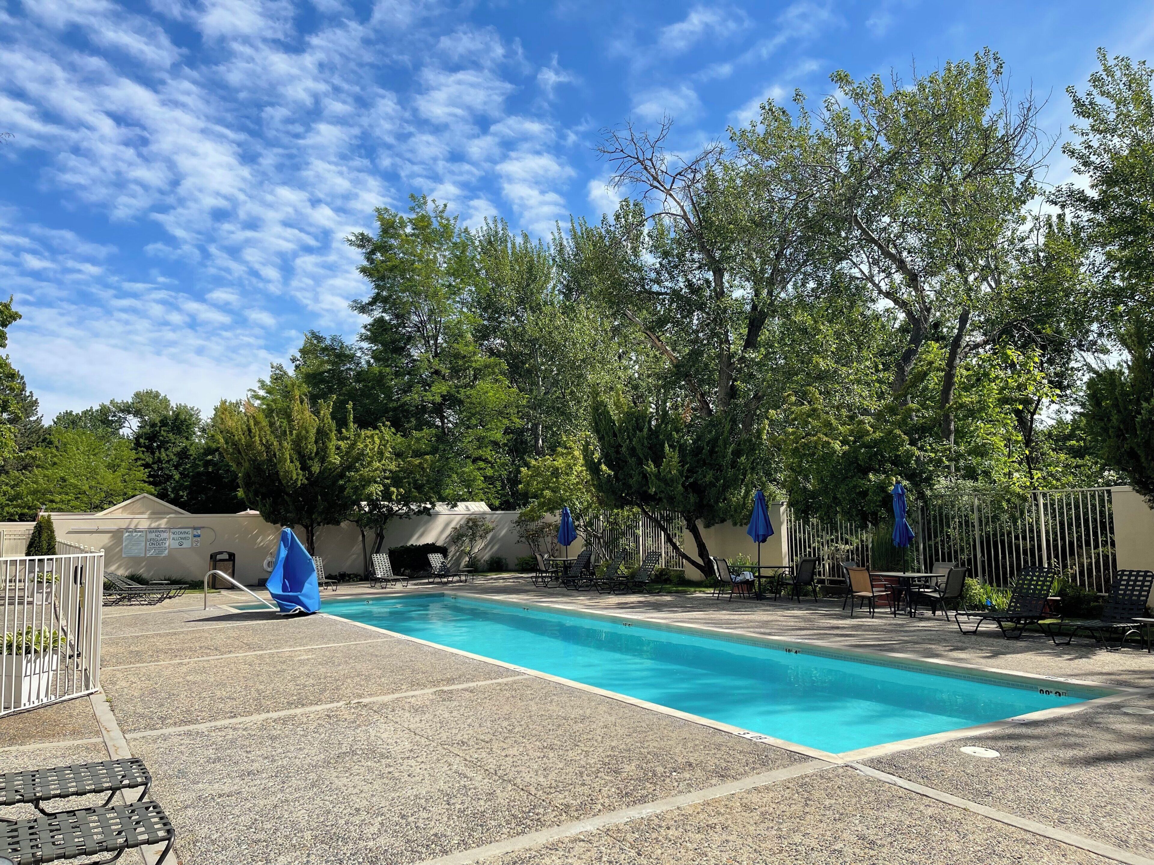 A swimming pool with lounge chairs and umbrellas, surrounded by trees and a fence.