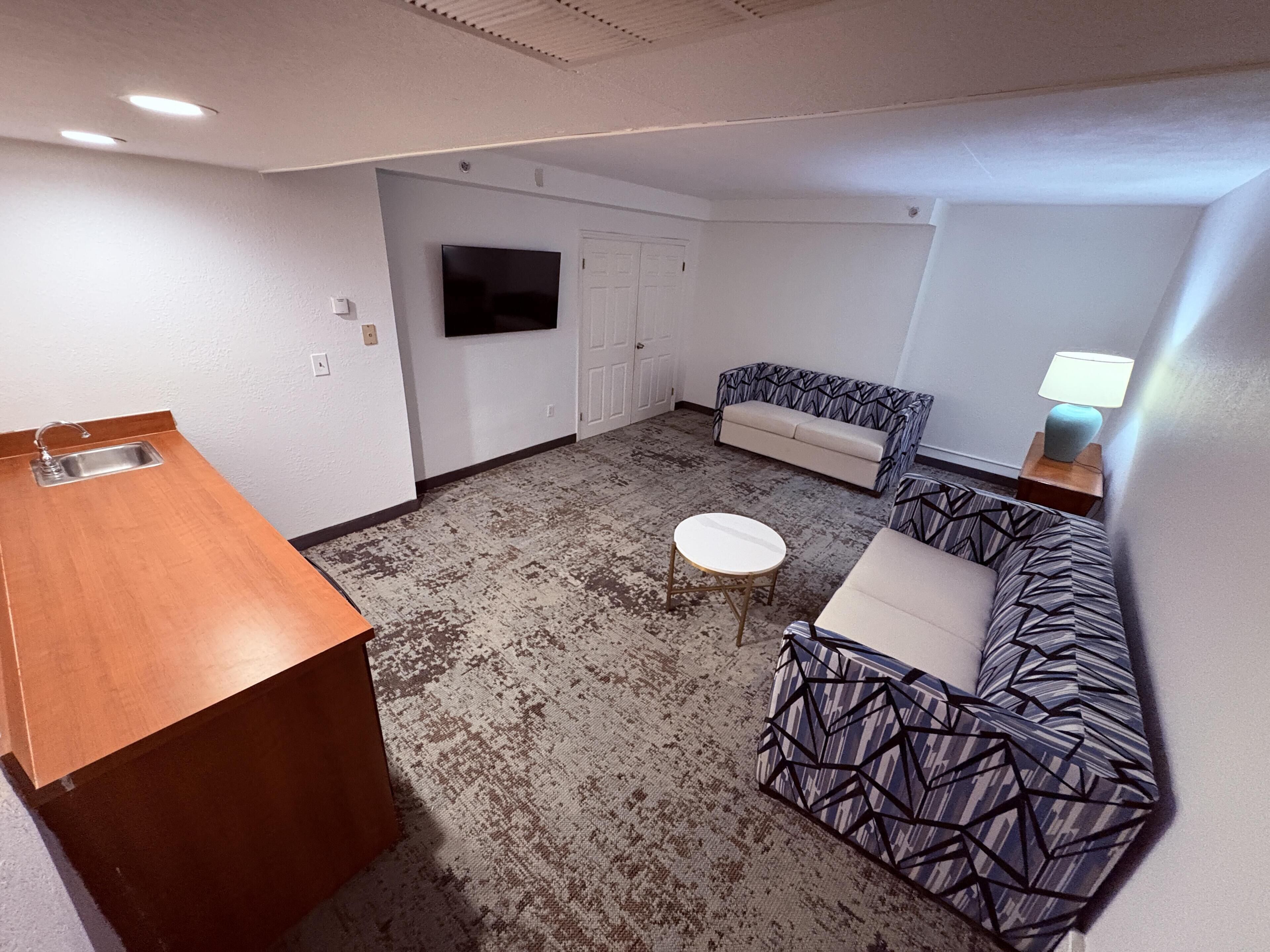 Suite, 1 King Bed, Non Smoking (with Single Sofabed;Larger Room)