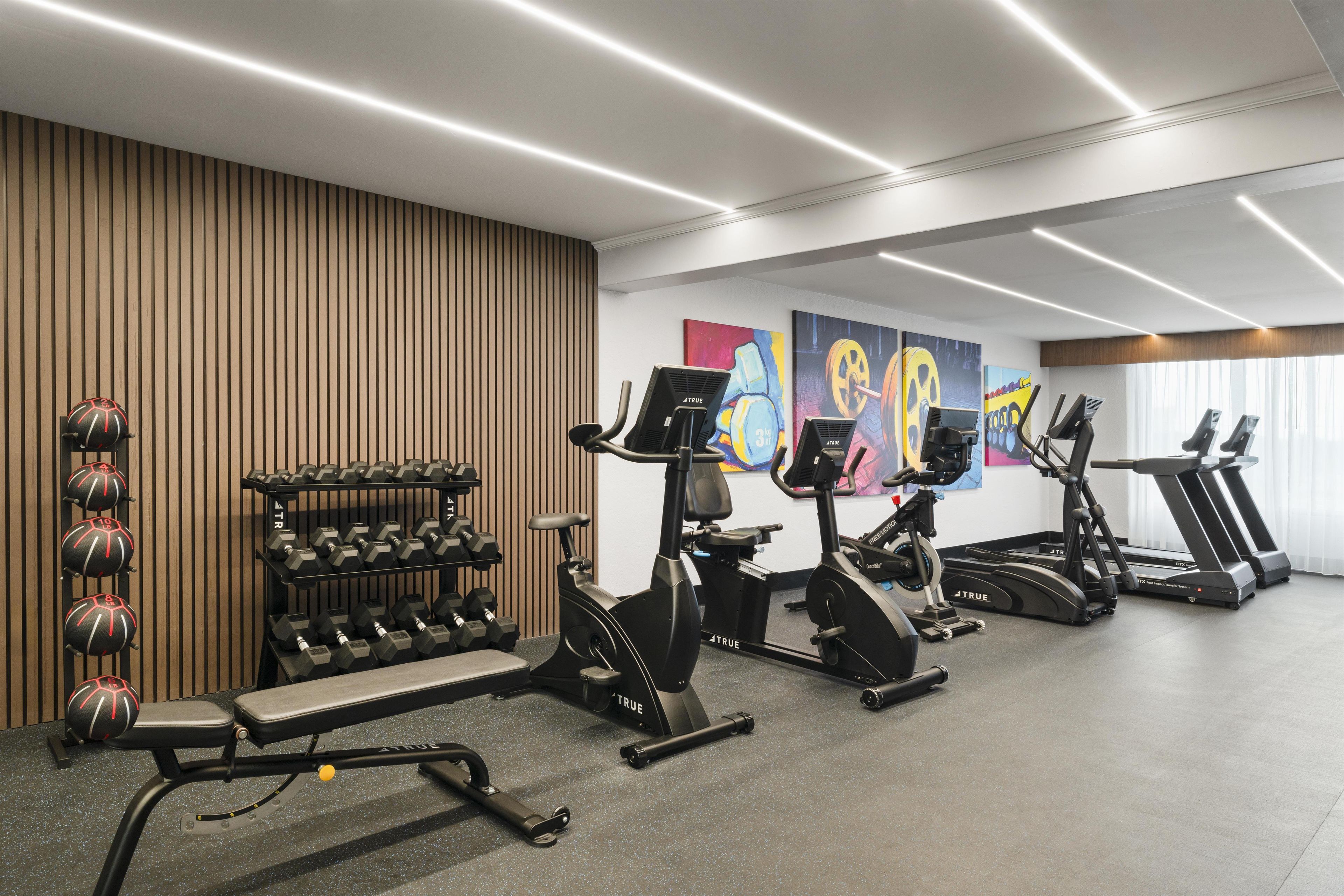 A modern gym with various exercise equipment, including dumbbells, a bench, and cardio machines.