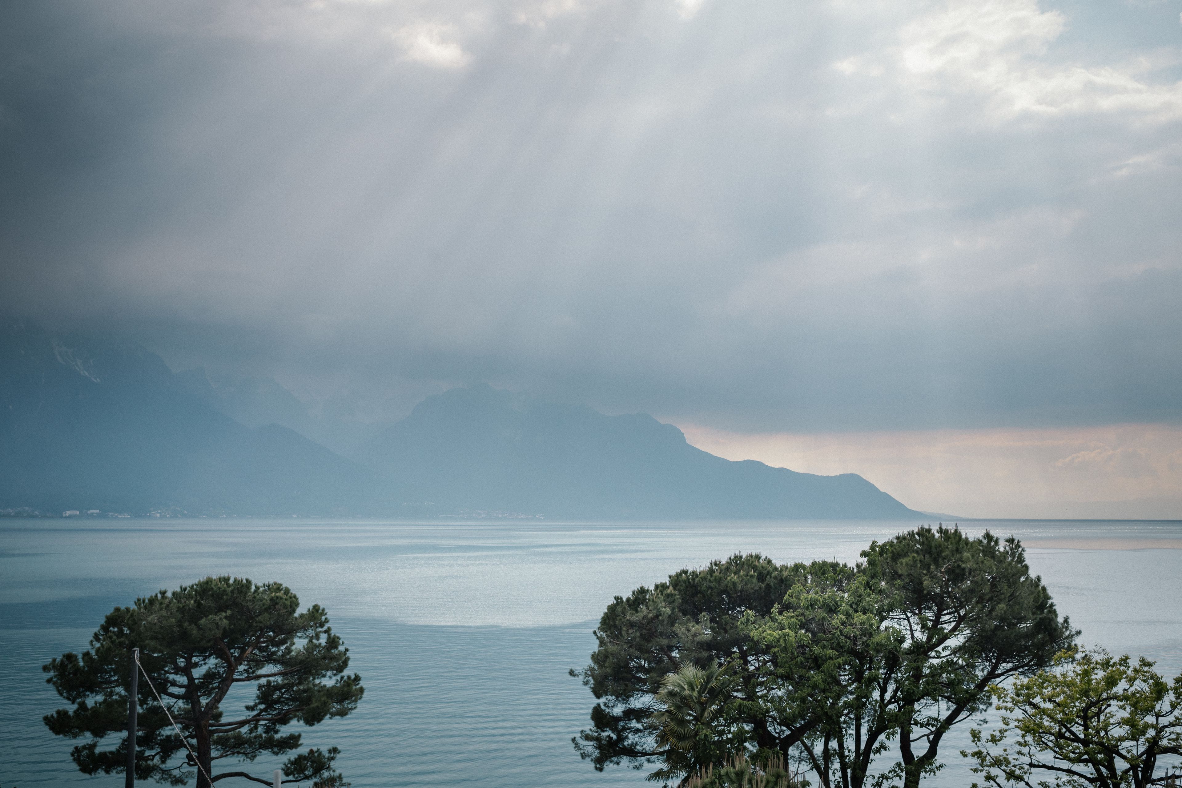 Un lago tranquilo con montañas al fondo y árboles en primer plano.