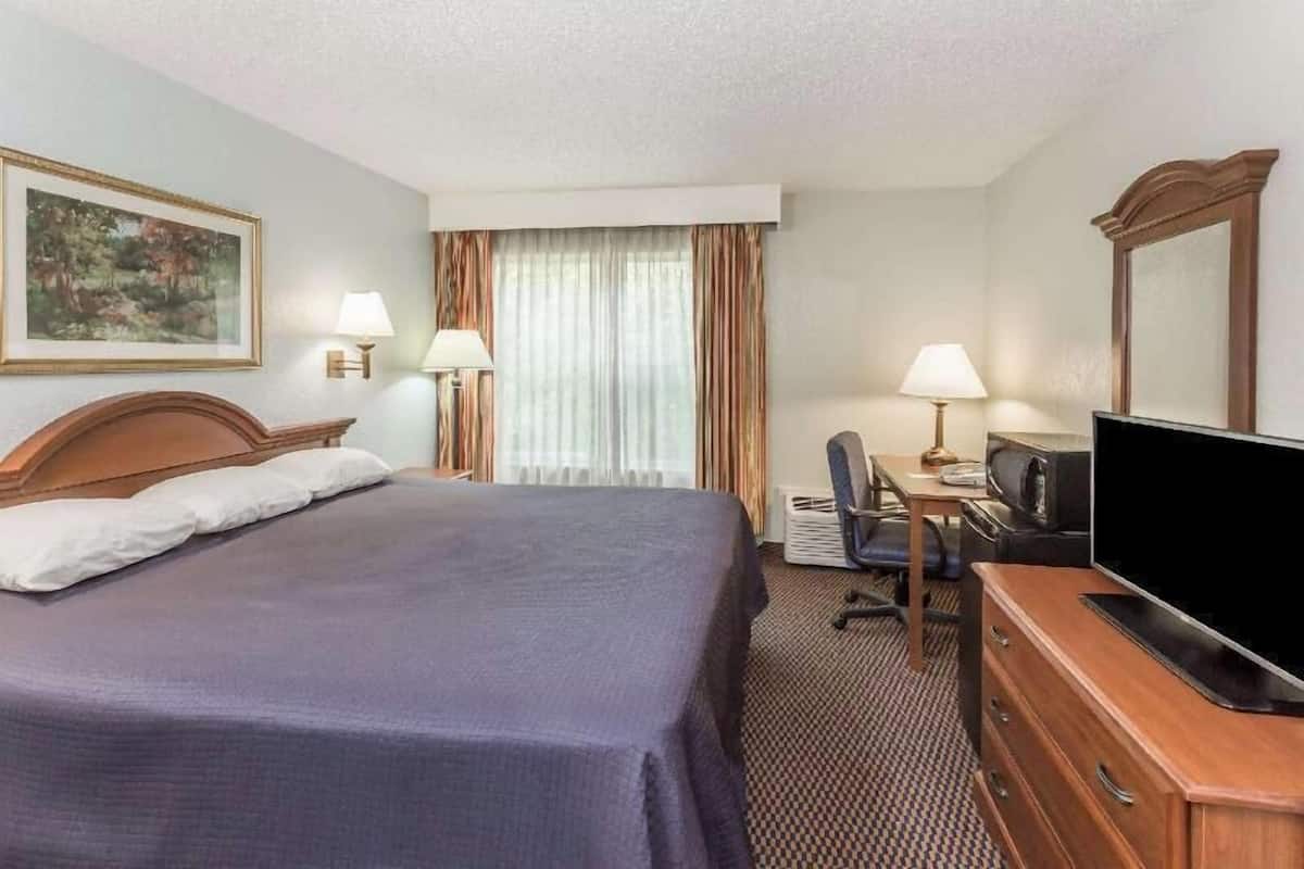 Une chambre d’hôtel avec un lit, un bureau, une chaise, une télévision et un tableau au mur.
