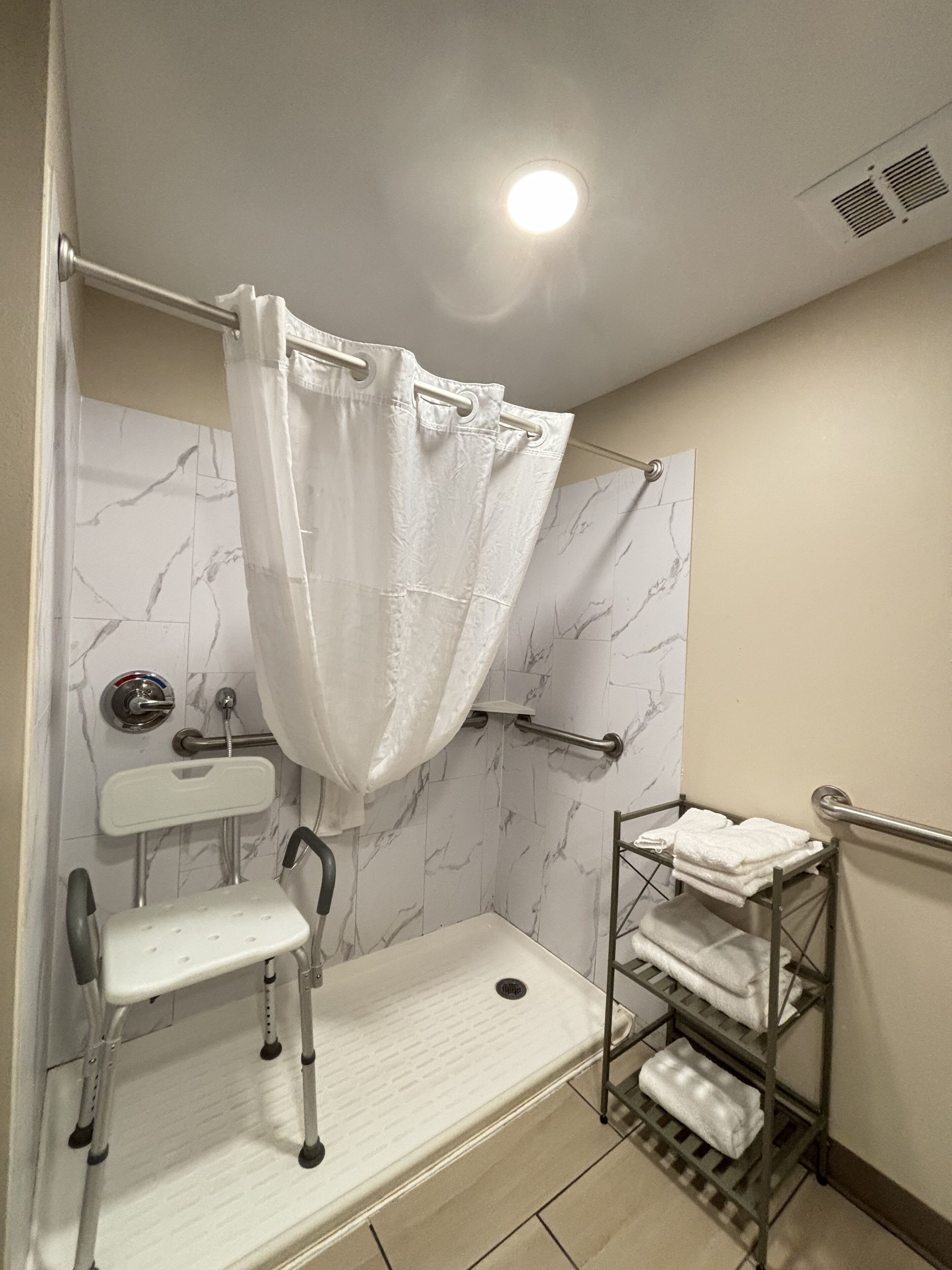 deluxe room, 1 king bed, accessible, non smoking (roll-in shower w/ grab bars) | bathroom | hair dryer, towels