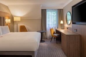 Room, 1 Queen Bed, Accessible | View from room