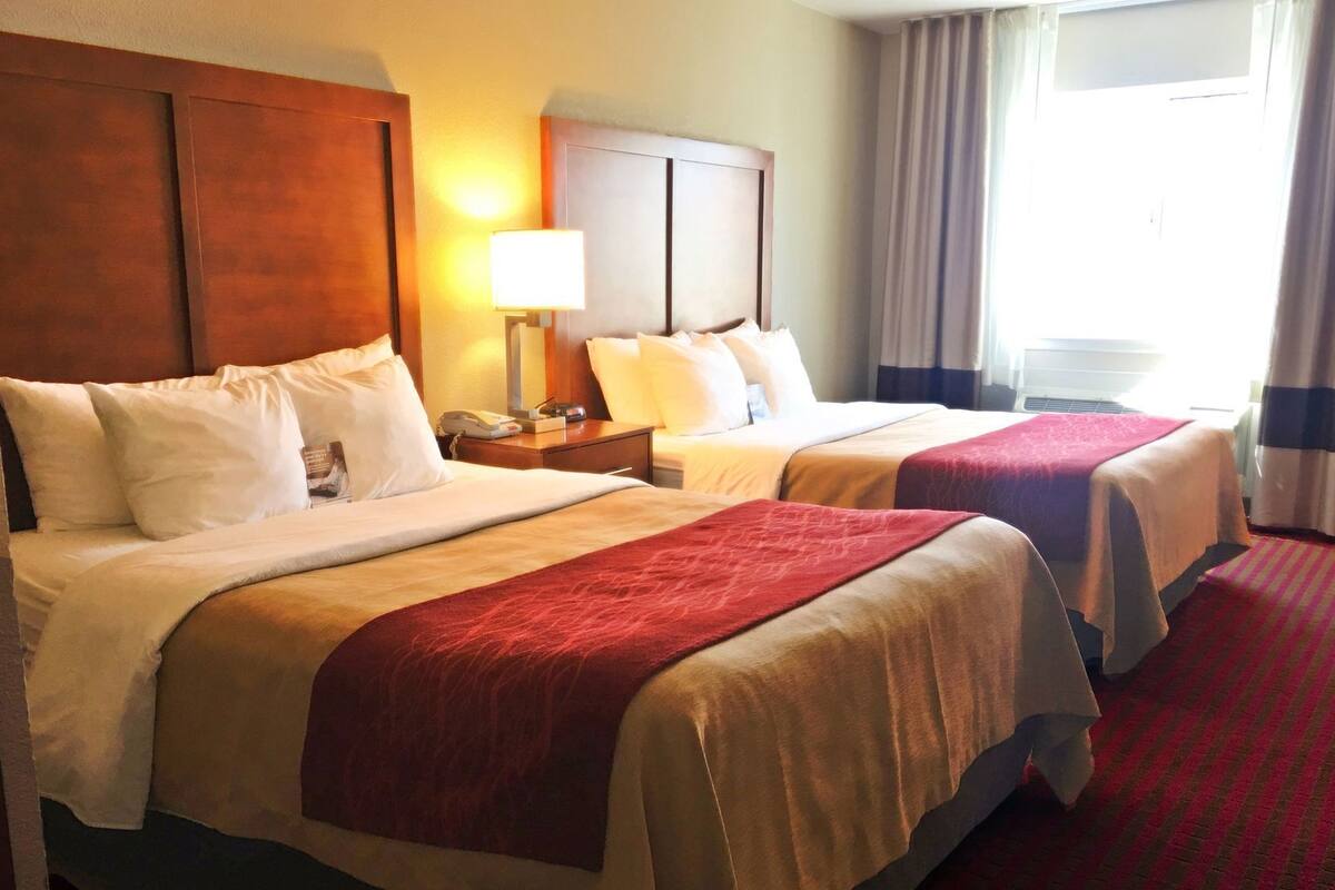 Iron/ironing board, free cribs/infant beds, rollaway beds, free WiFi