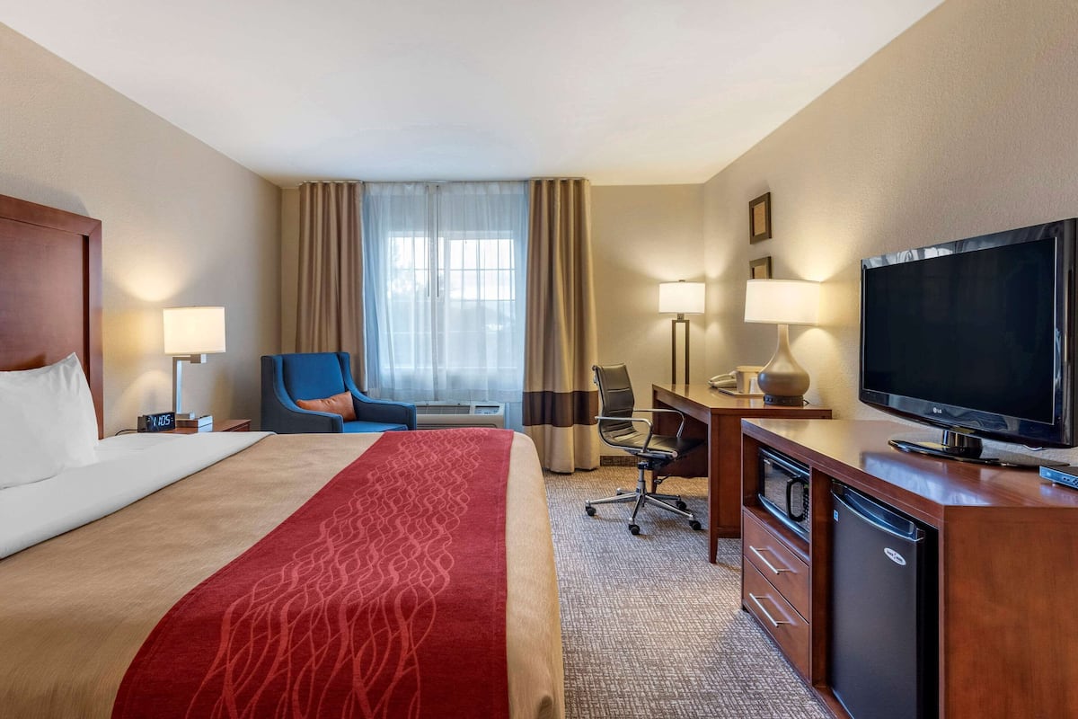 Standard Room, 1 King Bed, Non Smoking | Iron/ironing board, free cribs/infant beds, rollaway beds, free WiFi