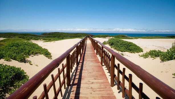 Una pasarela de madera que conduce a una playa con dunas de arena y vegetación.