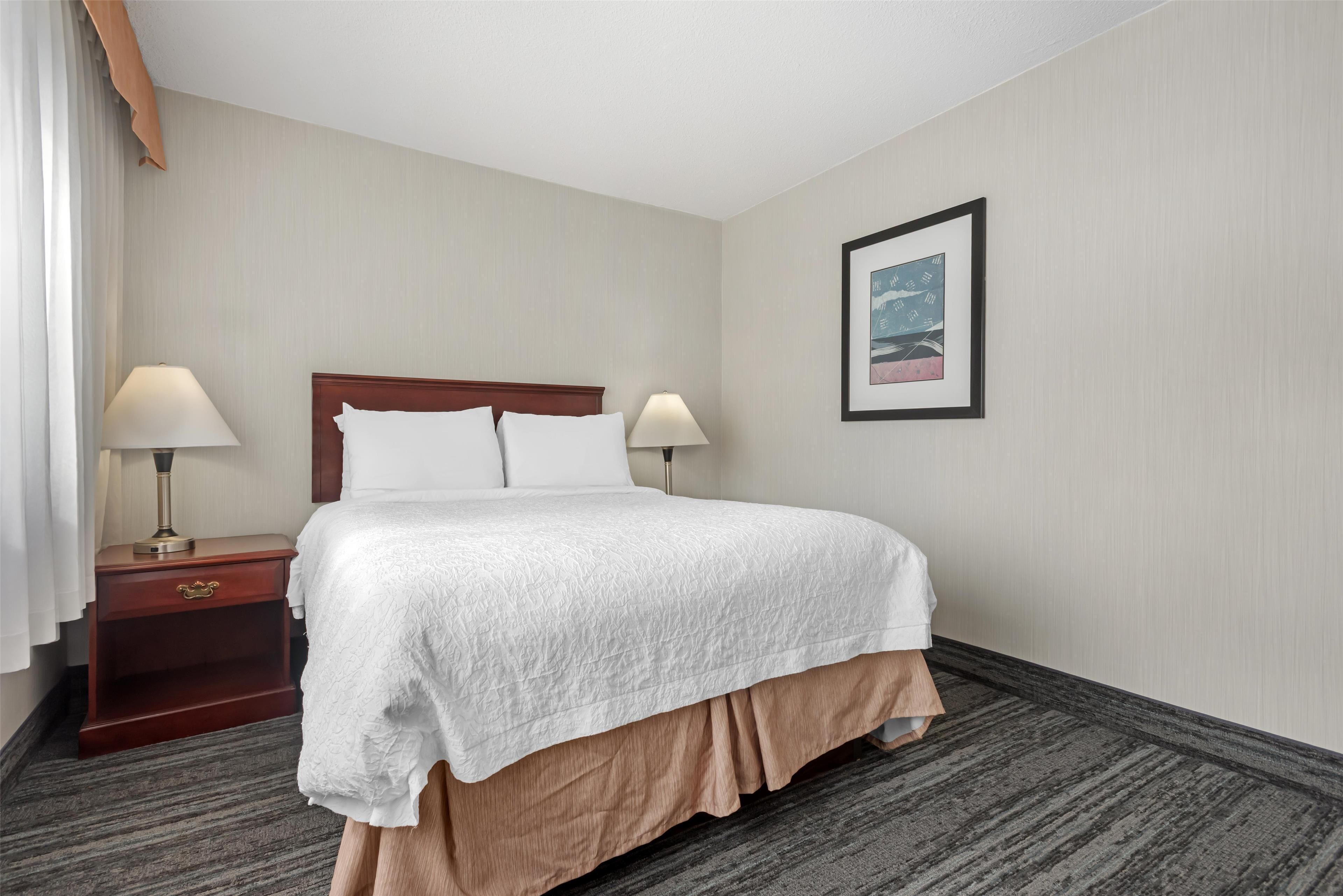 A hotel room with a neatly made bed, two bedside tables with lamps, a framed picture on the wall, and a carpeted floor.