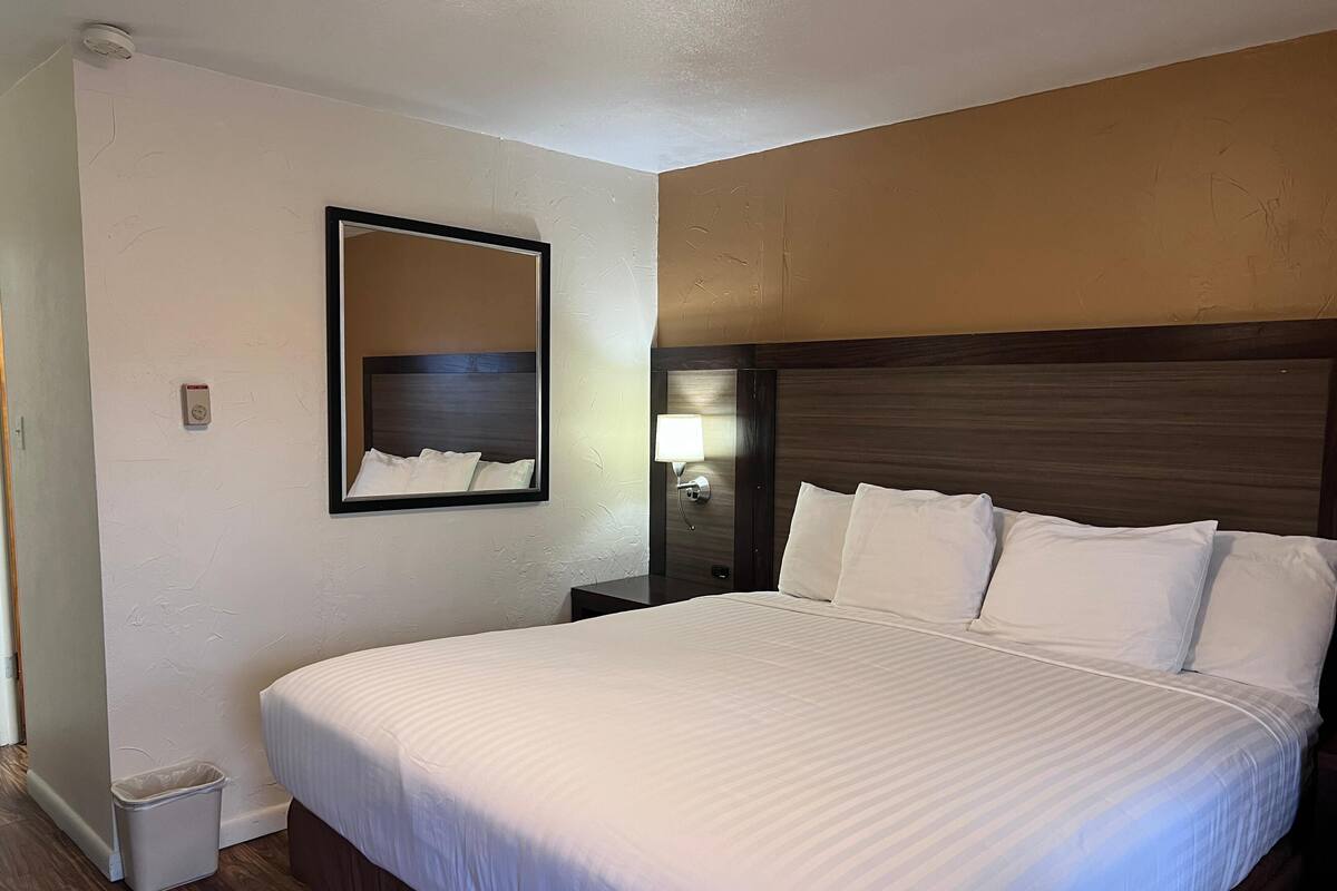 Habitación de hotel con una cama grande, una mesita de noche, un espejo en la pared y una lámpara.