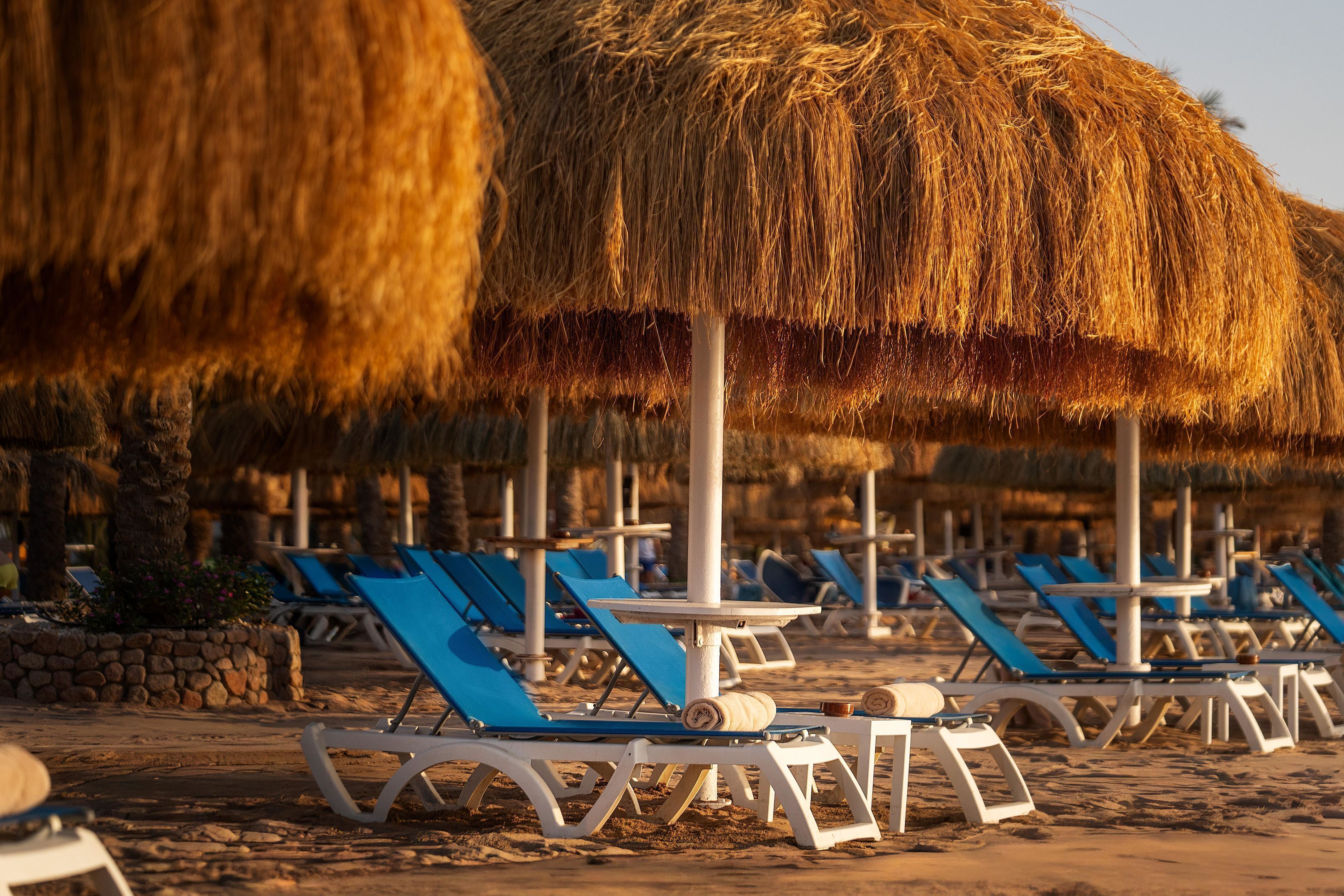 A beach with rows of sun loungers and thatched umbrellas.