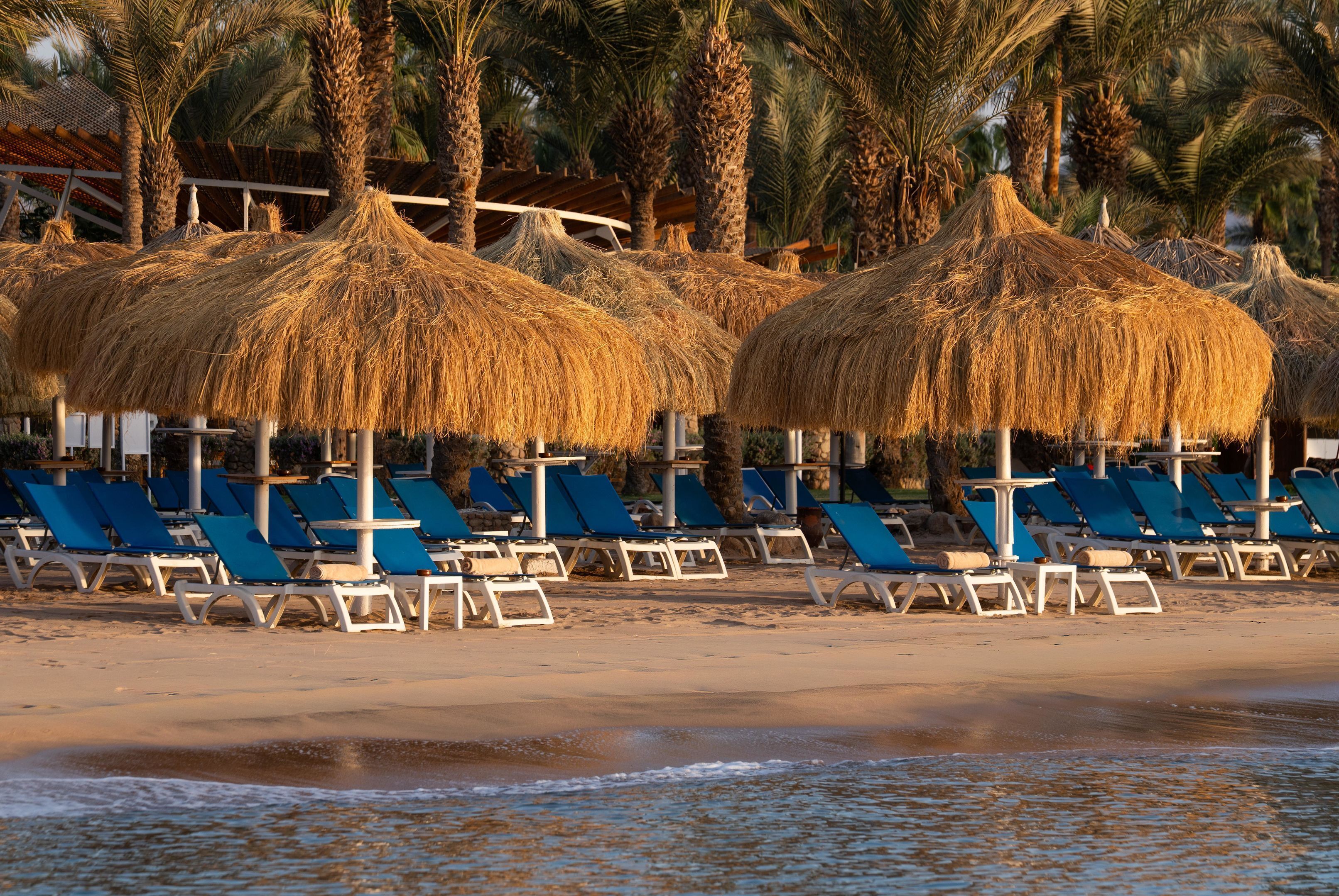 A beach with thatched umbrellas, blue lounge chairs, and palm trees.