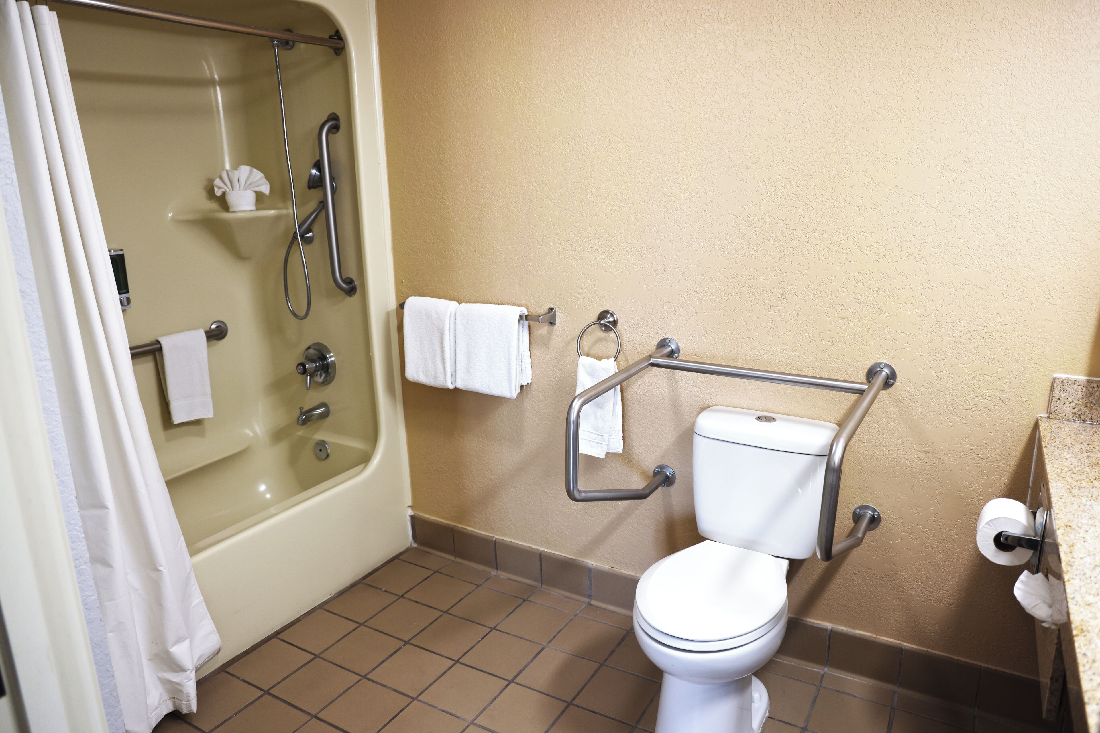 room, 1 queen bed, accessible, non smoking (mobility, tub w grab bars) | bathroom | free toiletries, hair dryer, towels