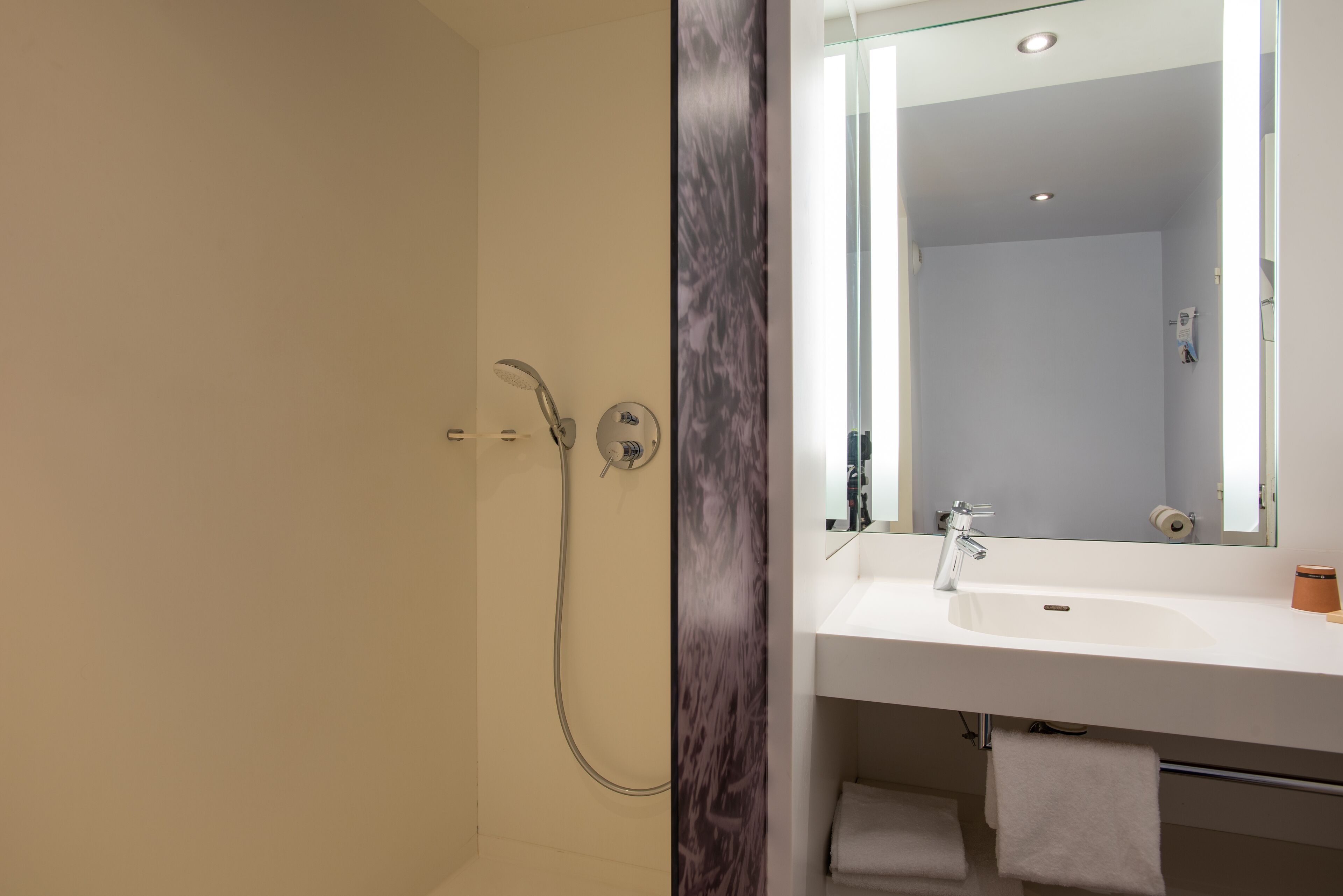 Une salle de bain moderne avec une douche, un lavabo et un miroir.