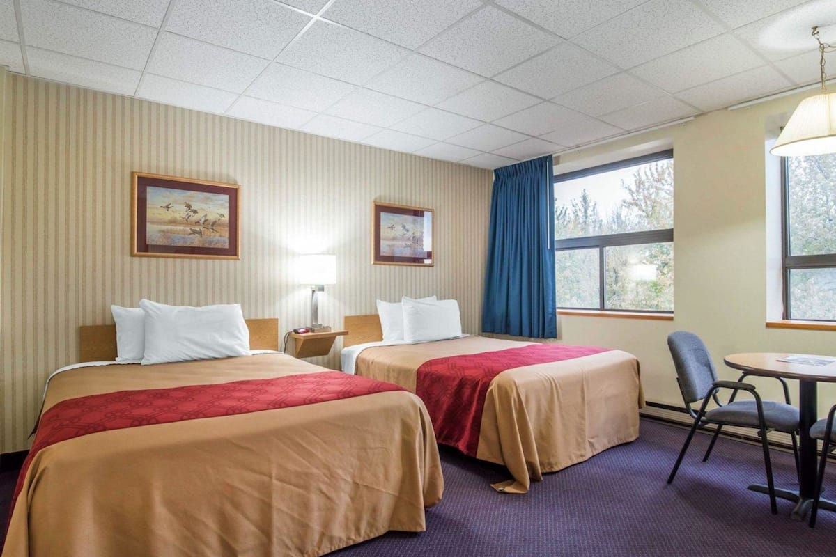 standard room, 2 queen beds, non smoking | premium bedding, desk, free cots/infant beds, rollaway beds