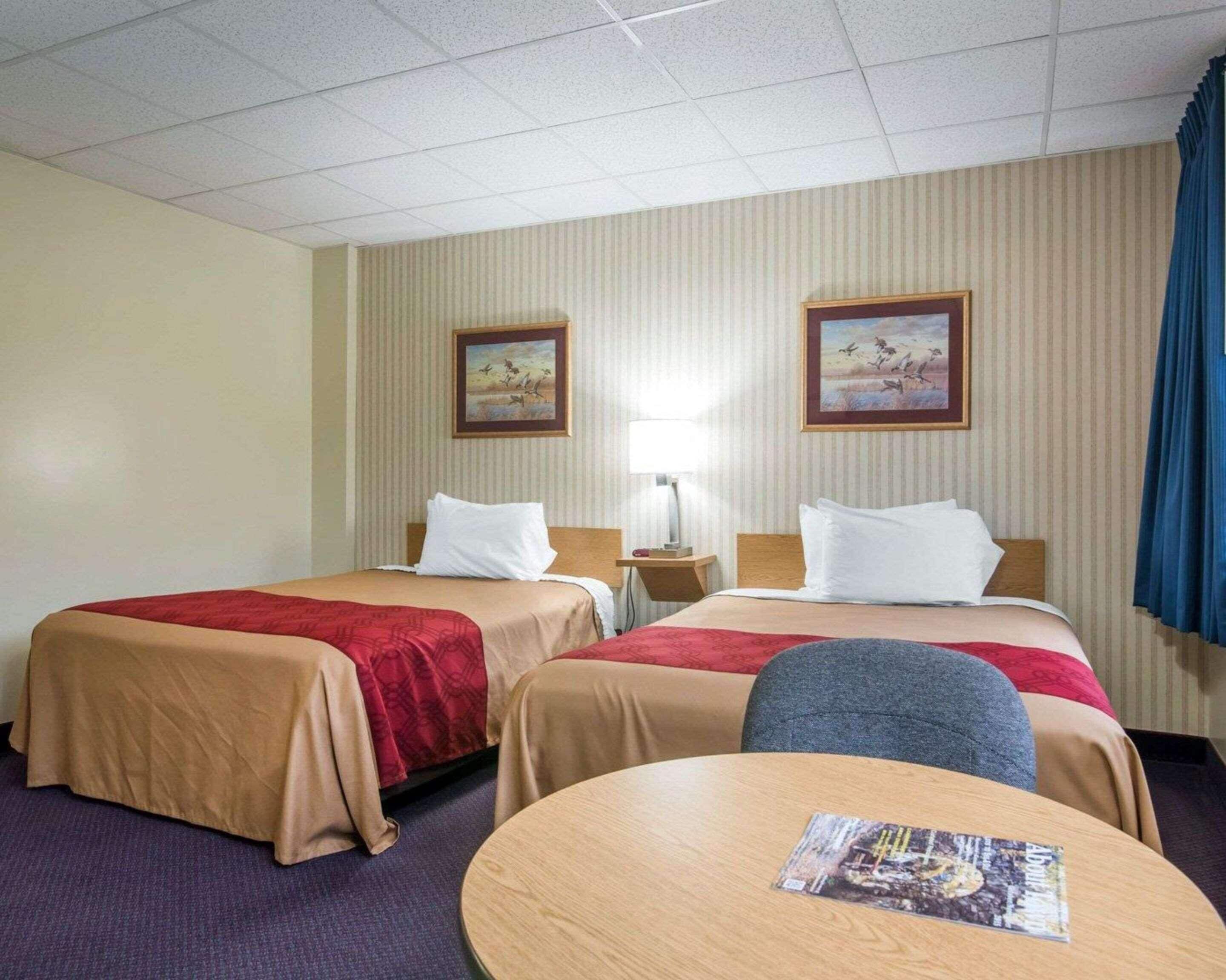 Premium bedding, desk, cribs (free), rollaway beds (surcharge)