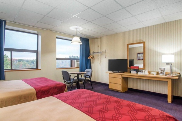 Premium bedding, desk, cribs (free), rollaway beds (surcharge)