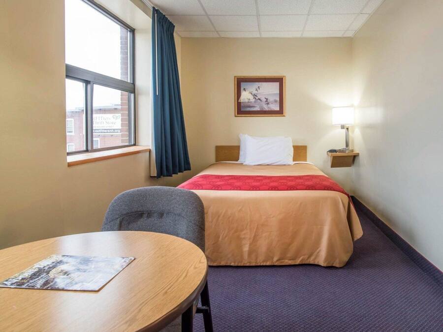A hotel room with a bed, a desk, a chair, a window with curtains, a wall-mounted lamp, and a framed picture on the wall.