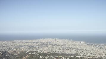 Vista panorámica de una ciudad densamente poblada, con una mezcla de edificios altos y estructuras más bajas, una costa en la distancia y una zona montañosa con vegetación en primer plano.