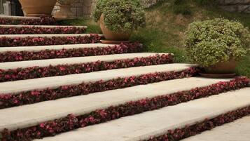 Unos escalones de piedra con flores rosadas a los lados, que conducen a la entrada de un edificio.