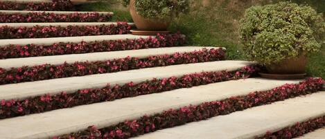 A set of stone steps with pink flowers lining the edges, leading up to a building entrance.