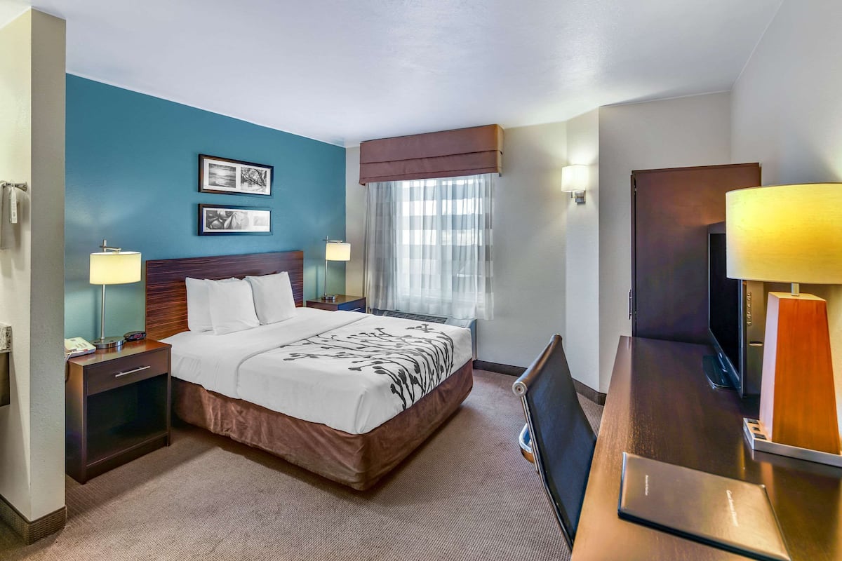 Standard Room, 1 Queen Bed, Non Smoking | Premium bedding, desk, laptop workspace, iron/ironing board