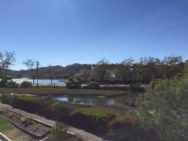 Vista de un lago con un camino, follaje y edificios al fondo.