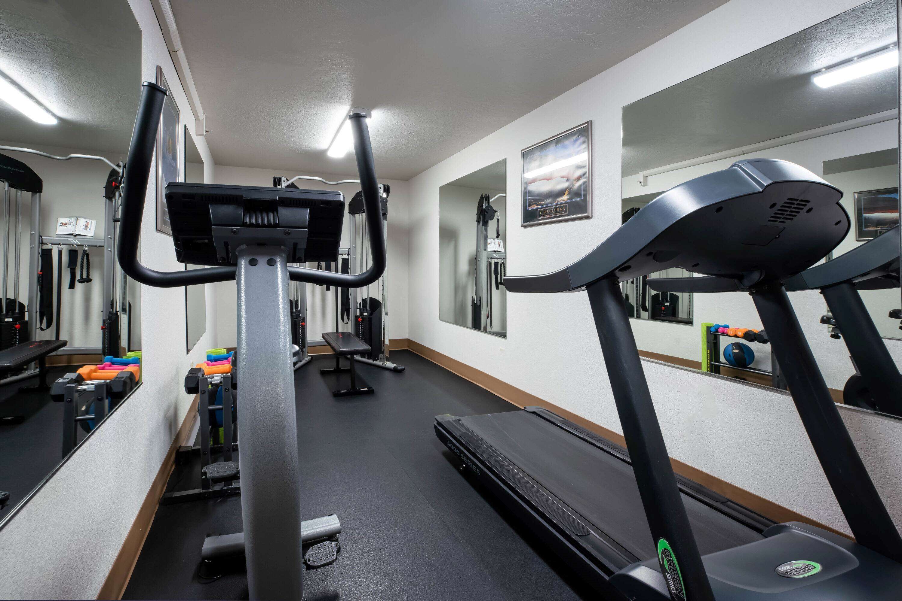 A gym with treadmills, a bench, and various exercise equipment.