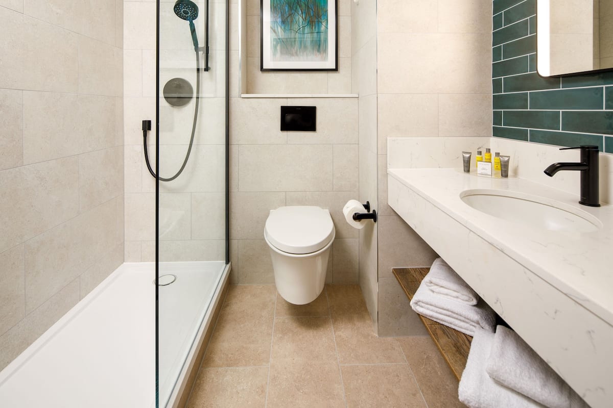 shower, free toiletries, hair dryer, towels