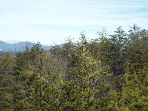 Blick auf die Berge