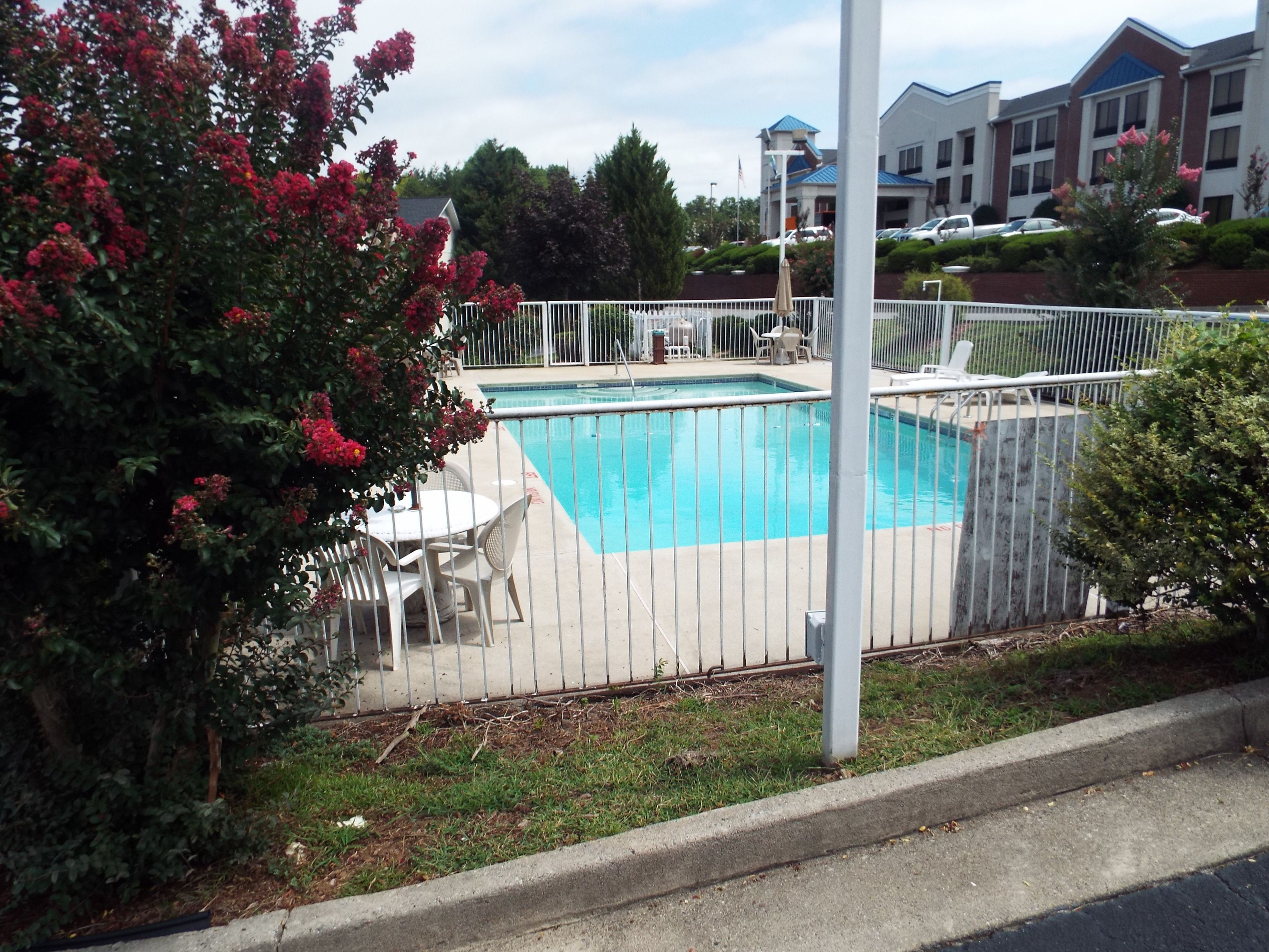 Una piscina rectangular rodeada por una valla blanca, con césped y algunos árboles.