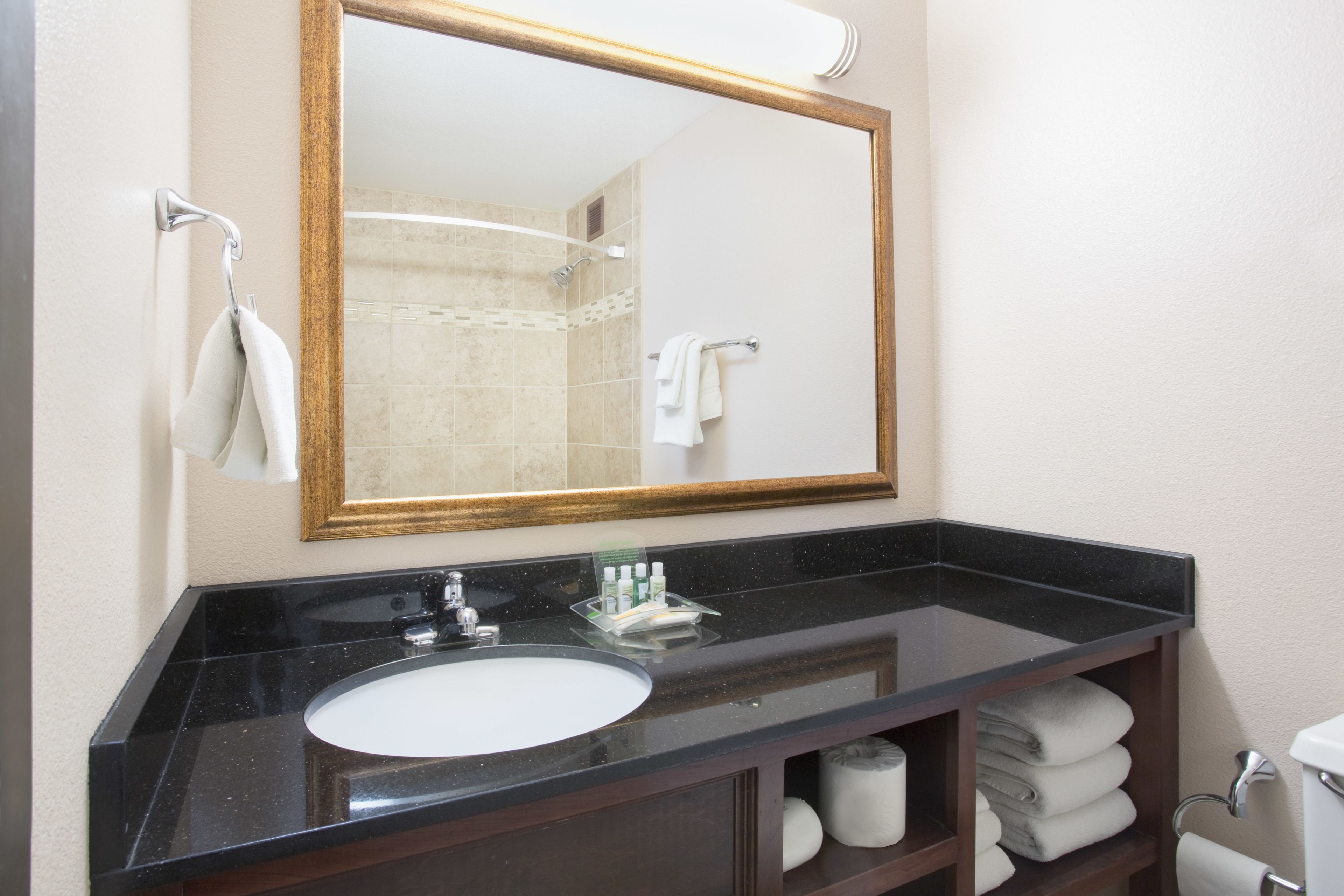 combined shower/bathtub, free toiletries, hair dryer, towels