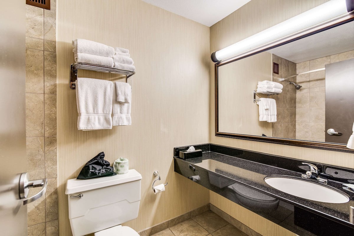 combined shower/bathtub, free toiletries, hair dryer, towels