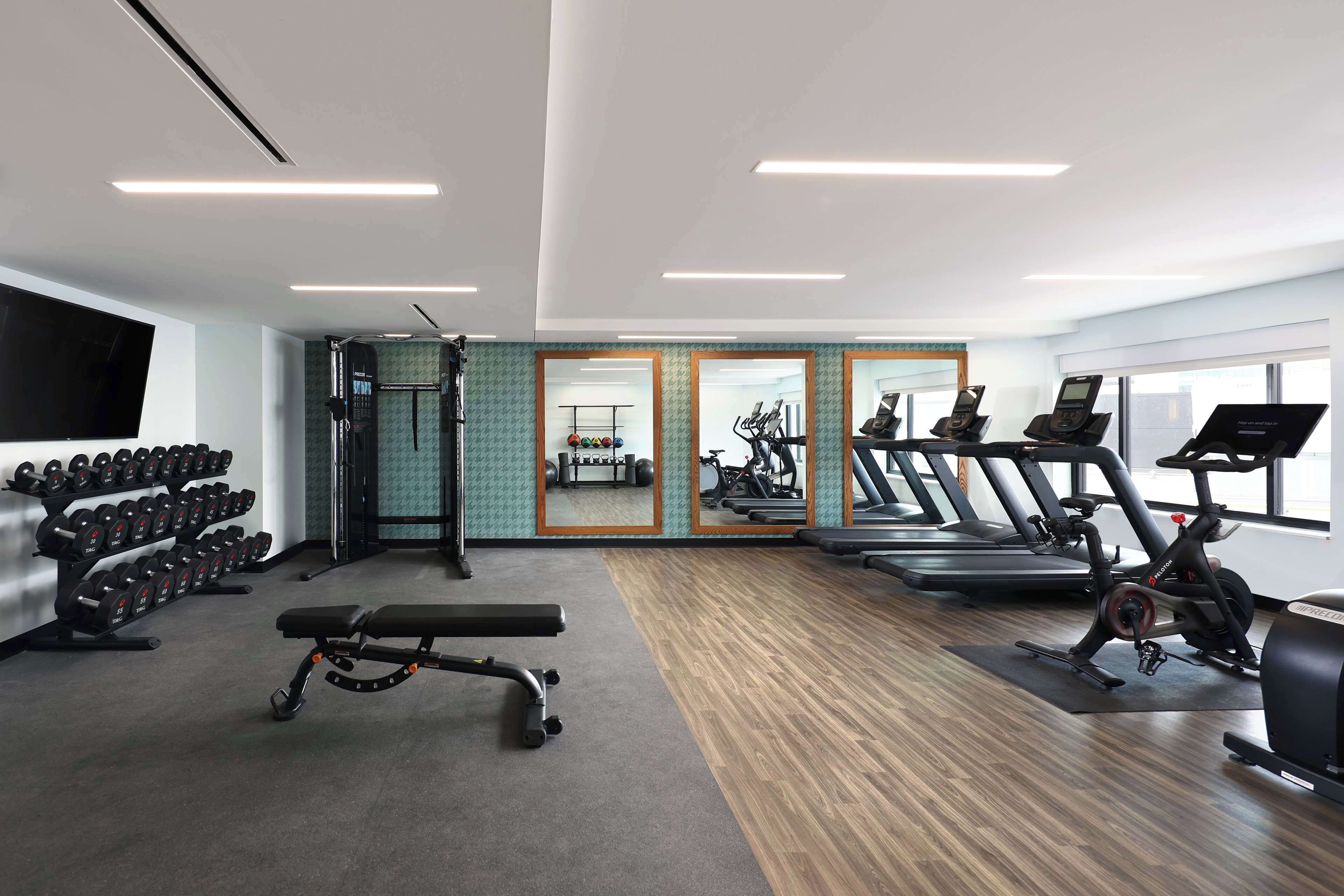A gym with treadmills, stationary bikes, dumbbells, and a bench.