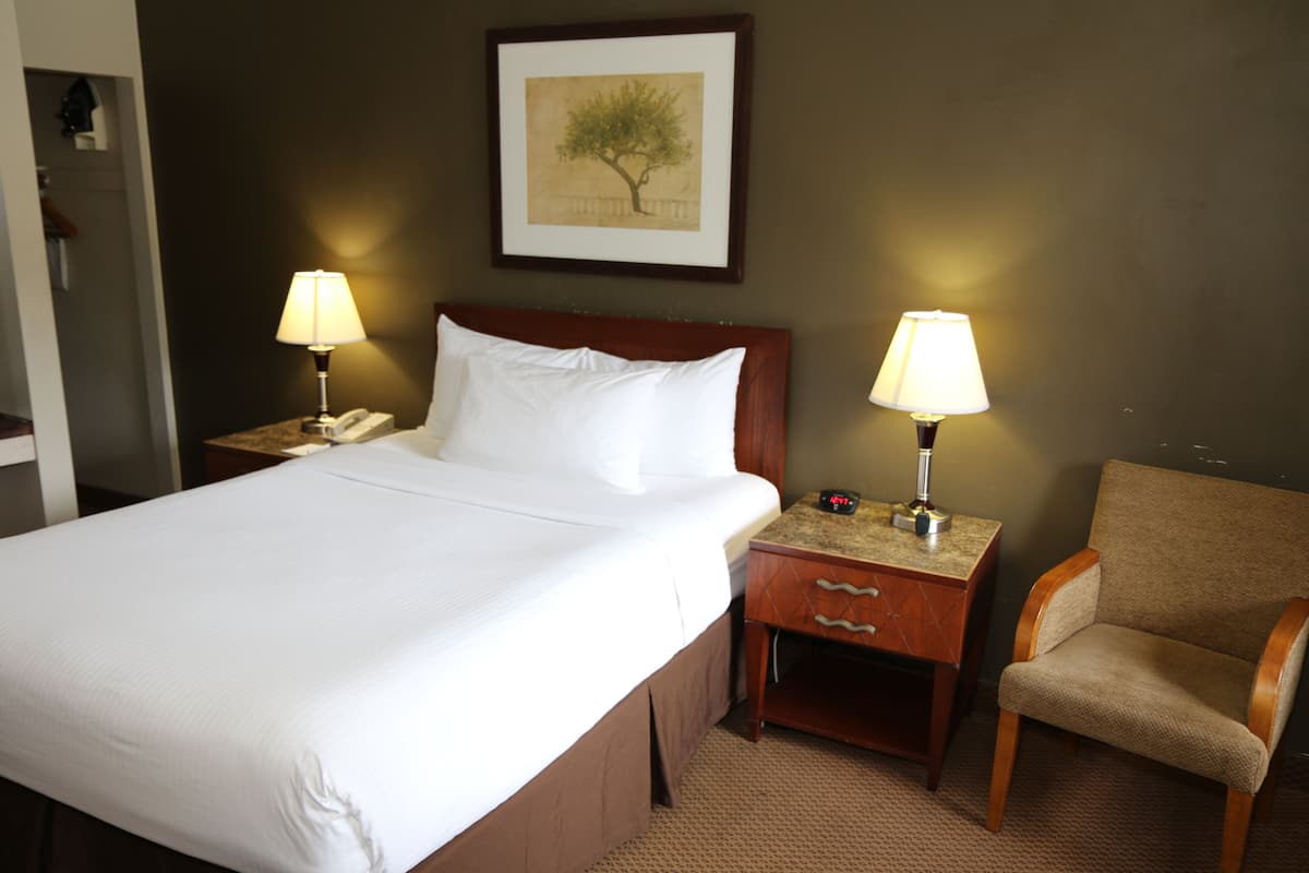 Desk, blackout curtains, iron/ironing board, free WiFi