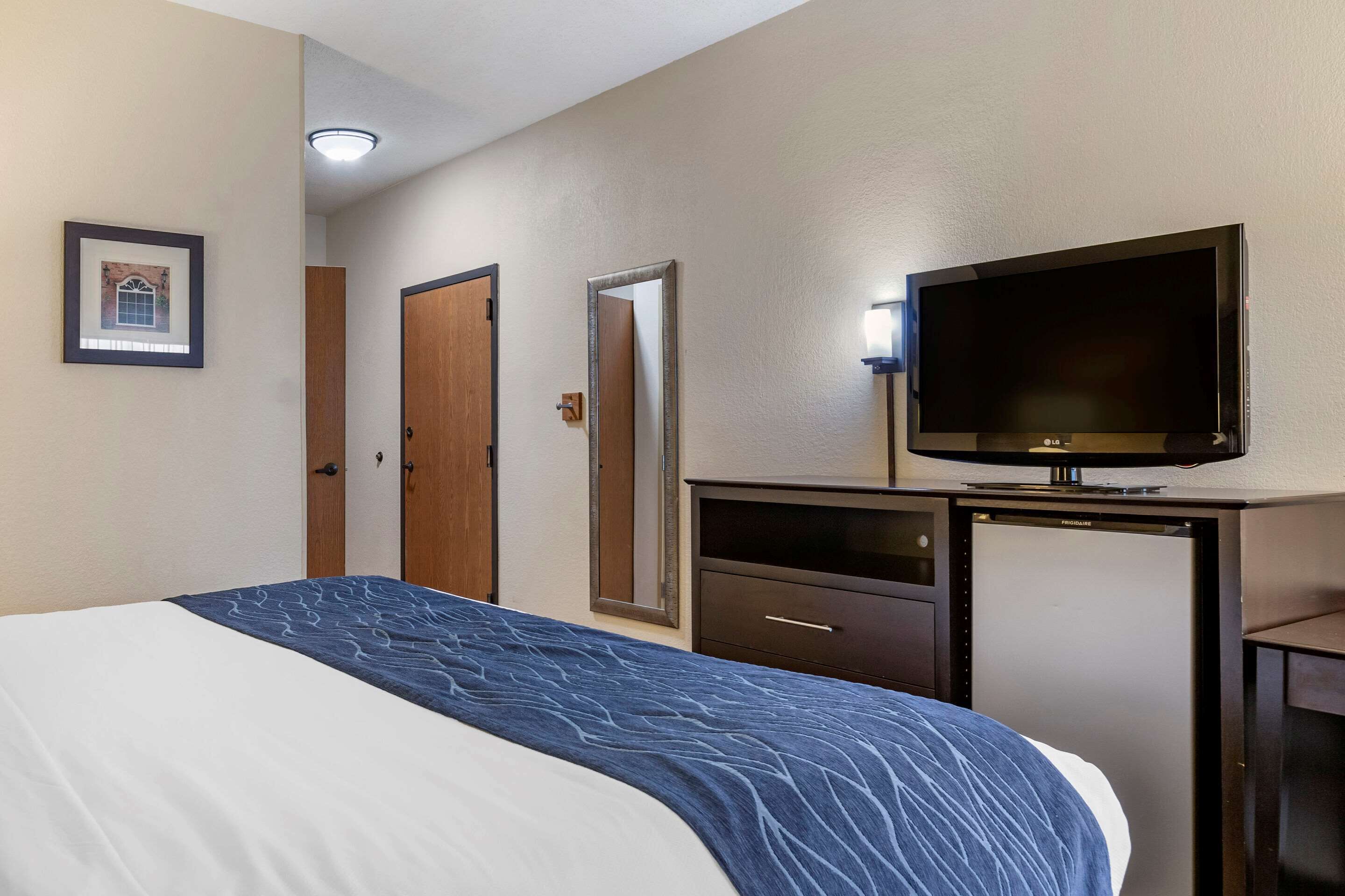 A hotel room with a bed, a television, a desk, and a refrigerator.