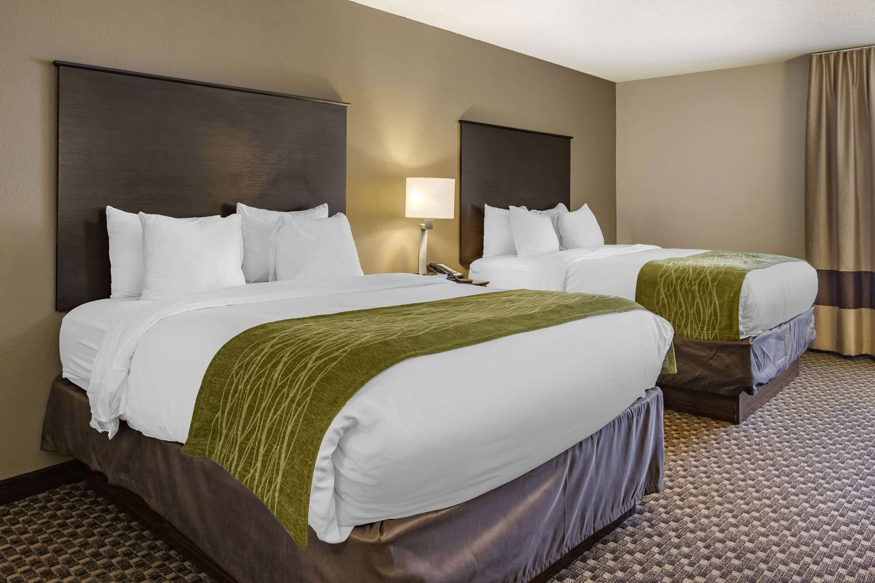 Habitación de hotel con dos camas, cada una con ropa blanca y mantas verdes. Se ve una mesita de noche con una lámpara y un teléfono. El piso está alfombrado y hay un ventanal con cortinas.