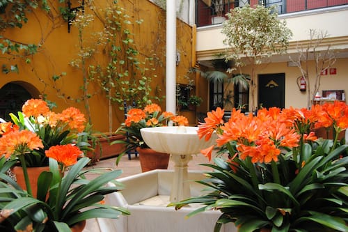 Fountain