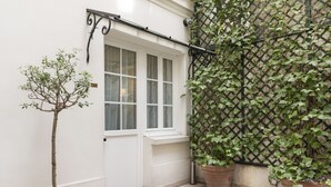Un árbol en maceta, una ventana y un muro con celosía y plantas trepadoras.