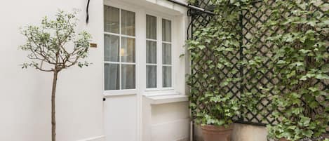 A potted tree, a window, and a lattice wall with climbing plants.