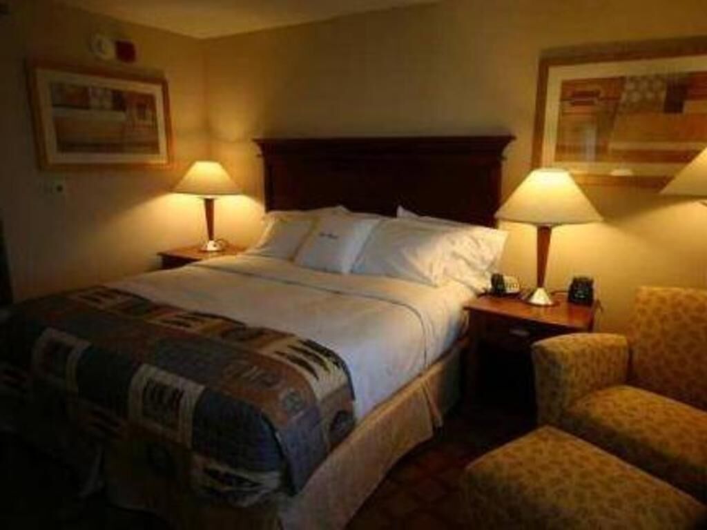 Premium bedding, down comforters, in-room safe, desk