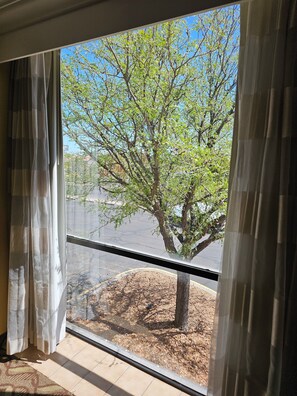View from room