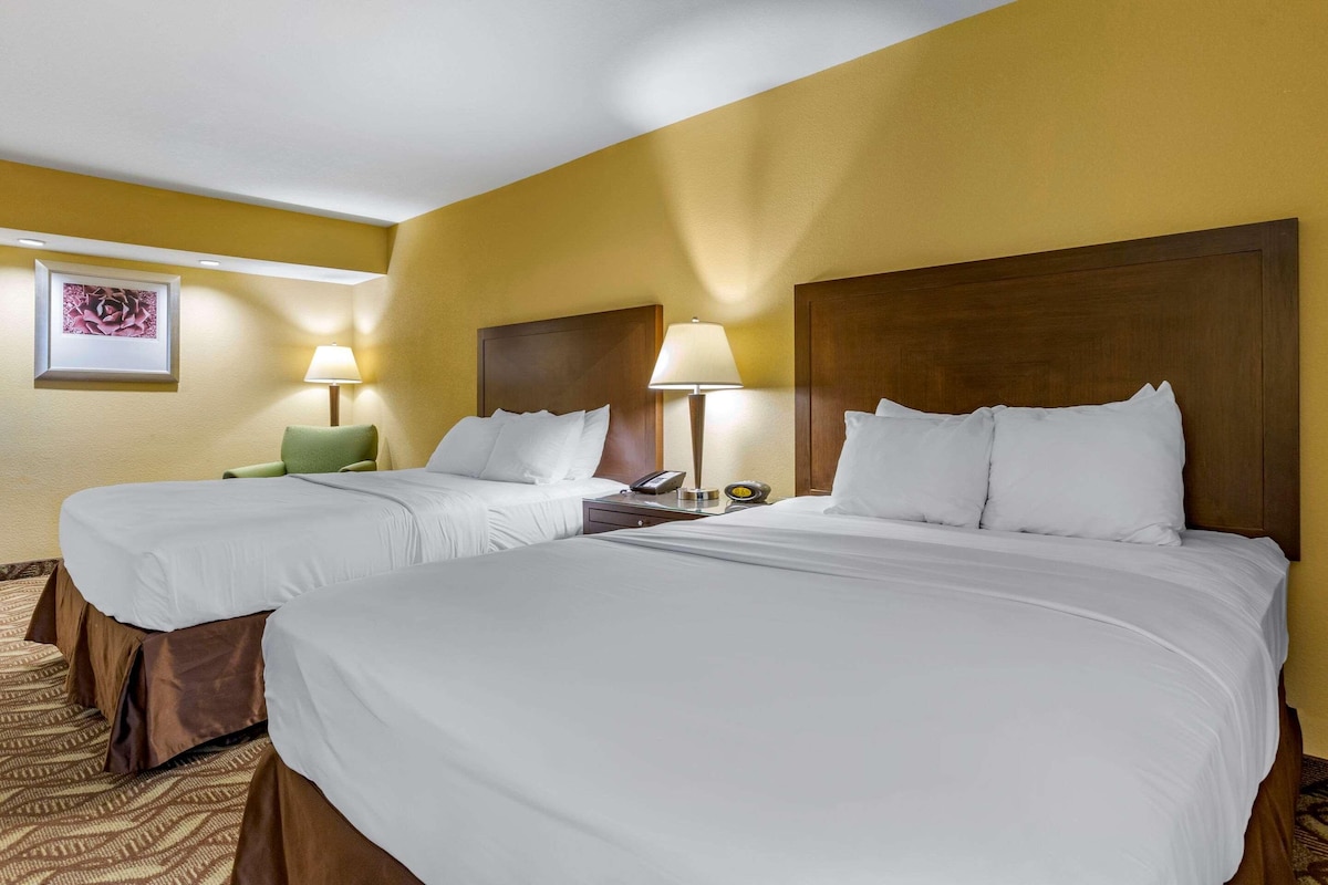 A hotel room with two beds, a nightstand with a lamp, a framed picture on the wall, and a patterned carpet.