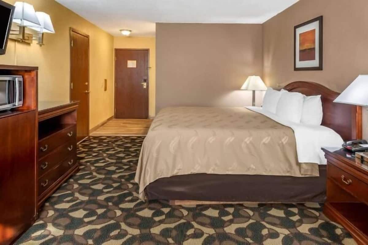 Una habitación de hotel con cama, lámparas de noche, televisor, cómoda y alfombra estampada.