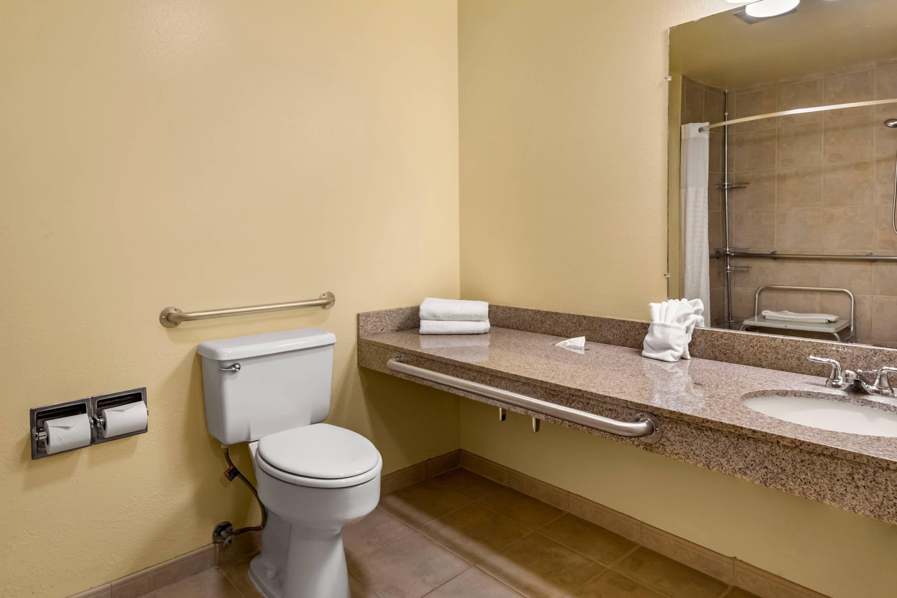 Een badkamer met toilet, wastafel en spiegel.