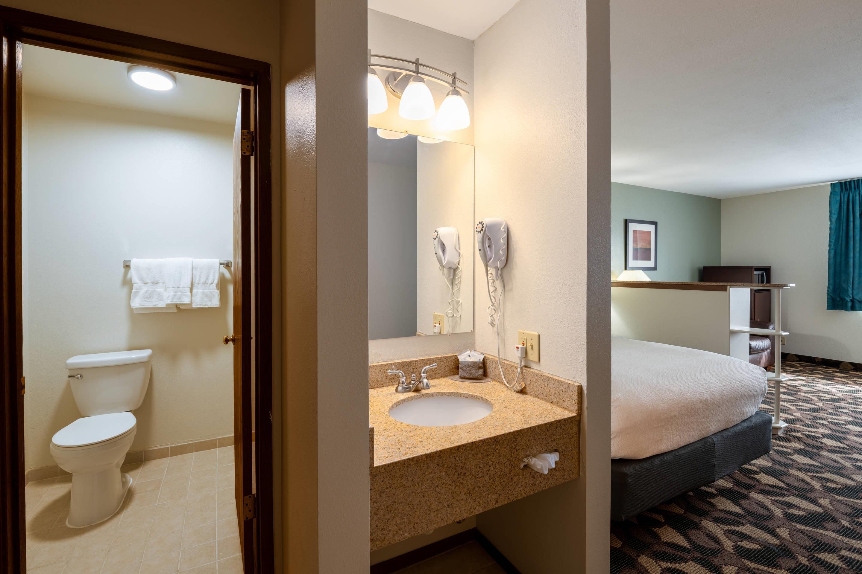 A hotel bathroom with a toilet, sink, and mirror.