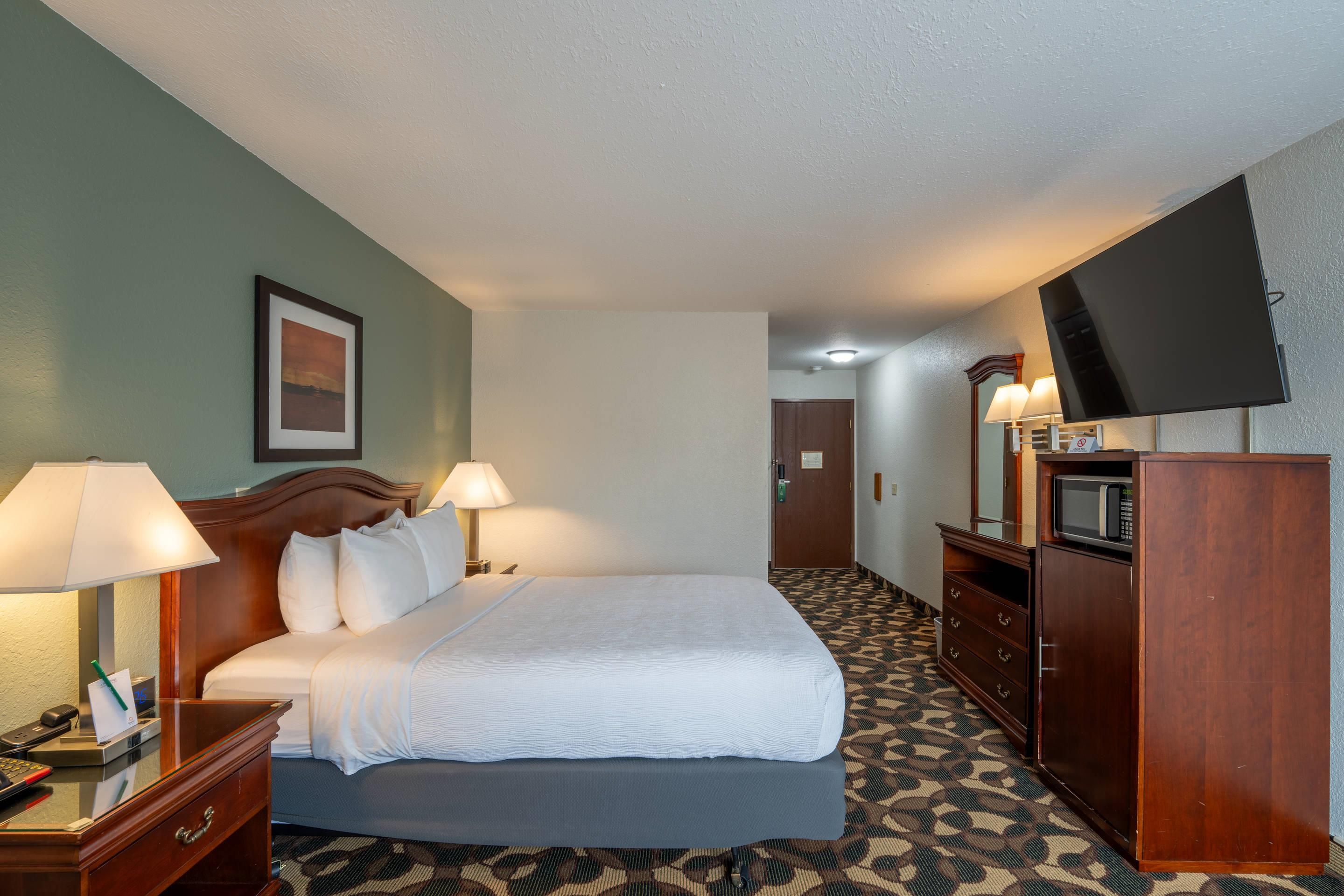Habitación de hotel con cama, lámparas de noche, televisor, escritorio con teléfono y alfombra estampada.