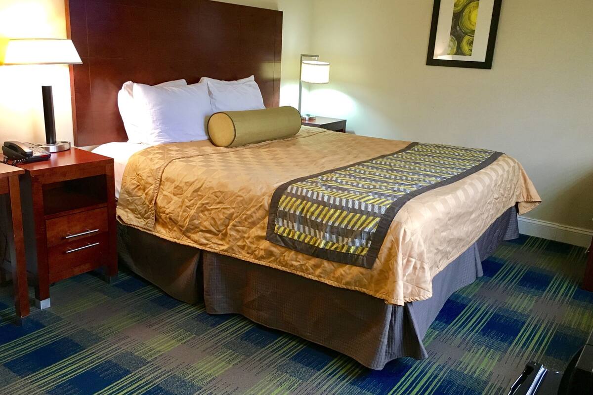 A hotel room with a bed, bedside tables, lamps, a telephone, a framed picture on the wall, and a carpeted floor.
