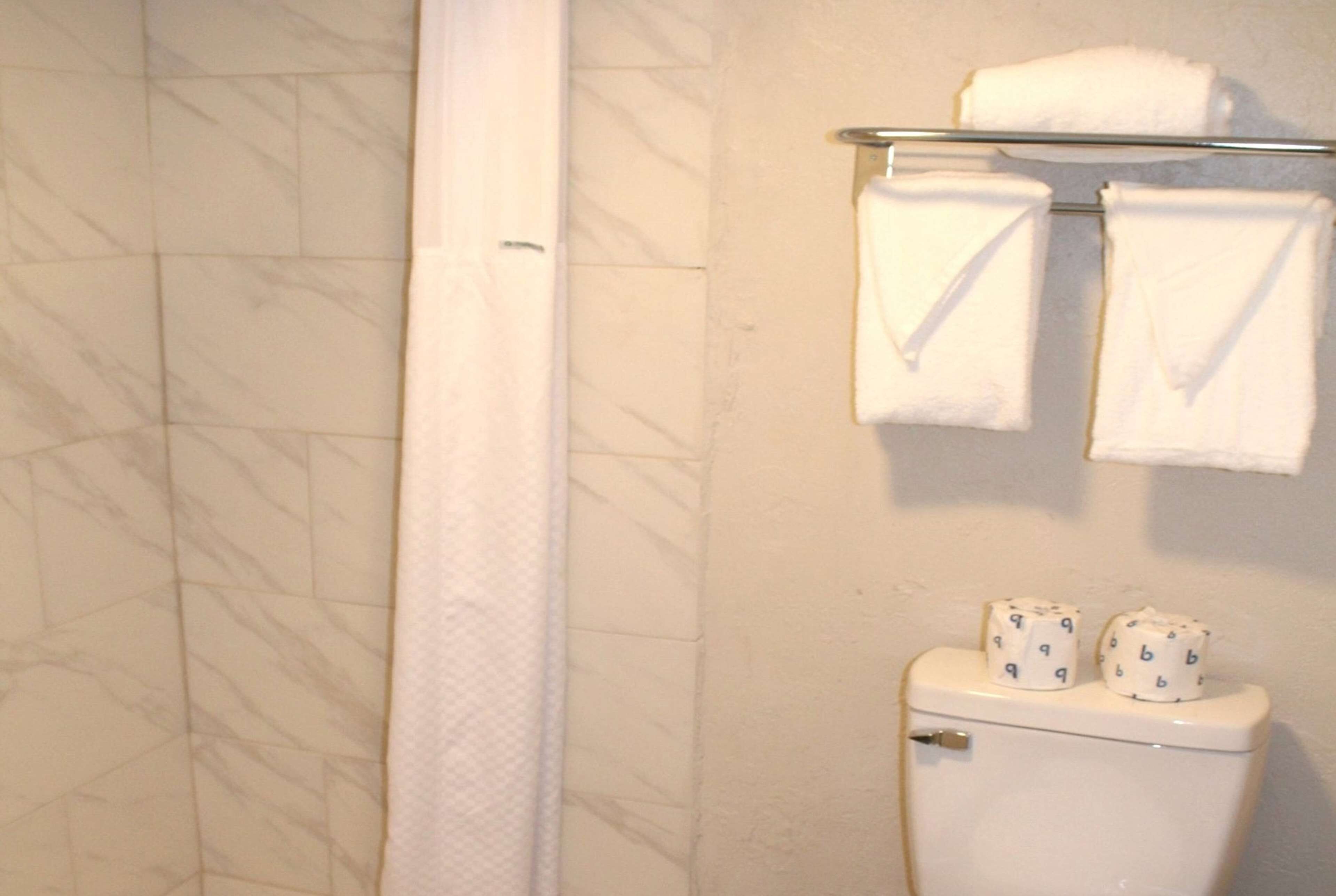 Casa de banho com sanita, um porta-toalhas com duas toalhas e uma cortina de chuveiro.